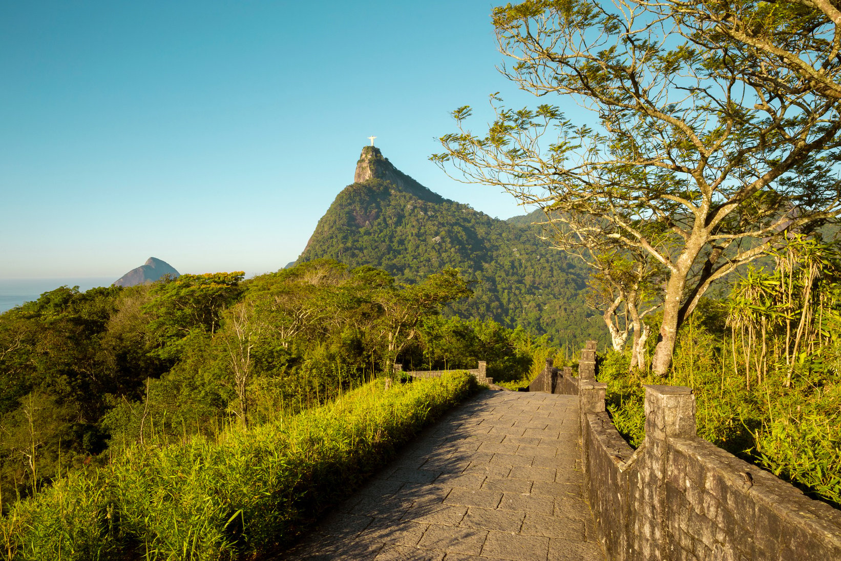 Panorama of Tijuca Forest and Corcovado Mountain 