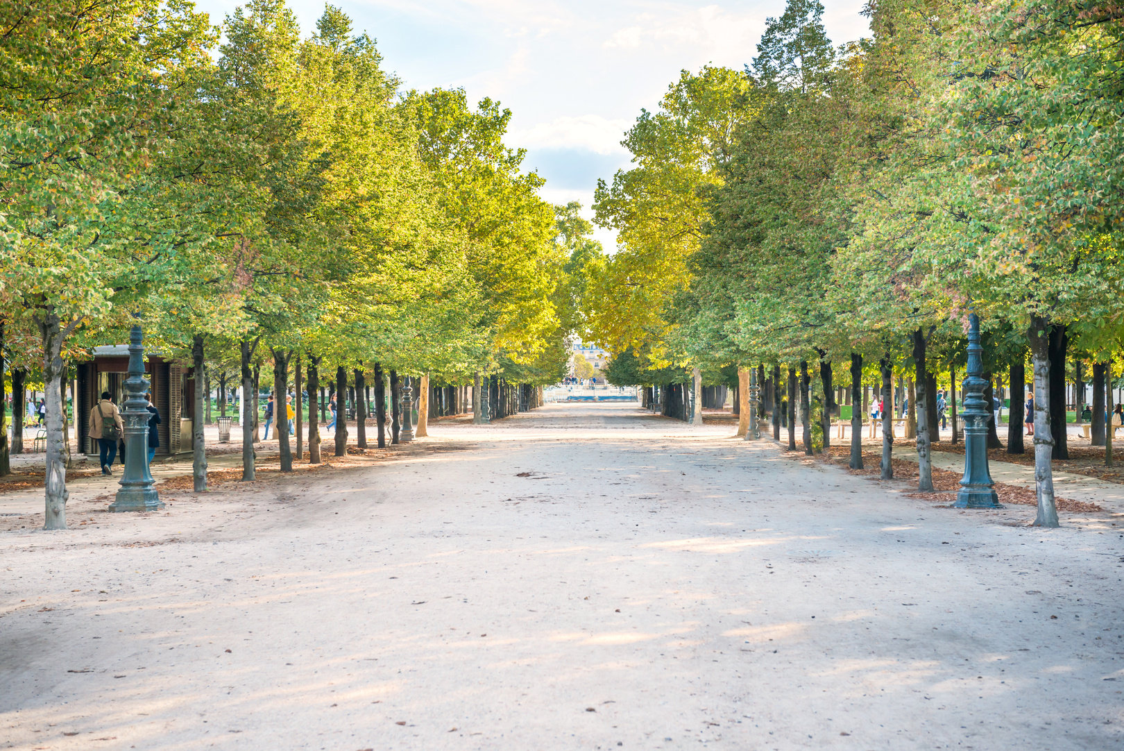 an empty road lined with trees in a park
France Trip; Travel Planner; 3Day Trip Plan; Photography; Gastronomy; Paris