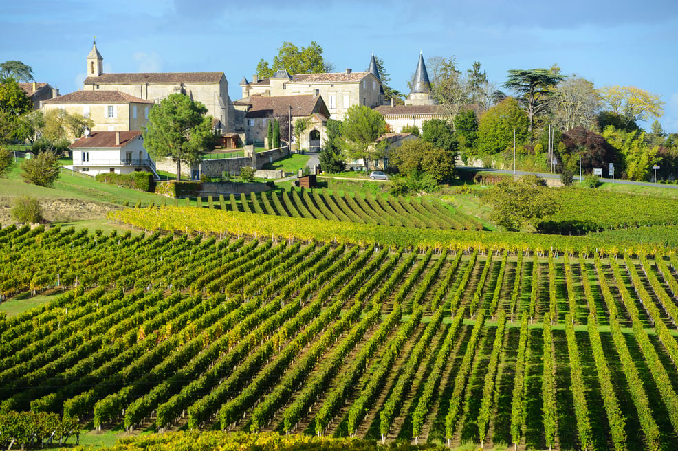 a vineyard in france with a village in the background
France Trip; Travel Planner; 3Day Trip Plan; Photography; Gastronomy; Paris