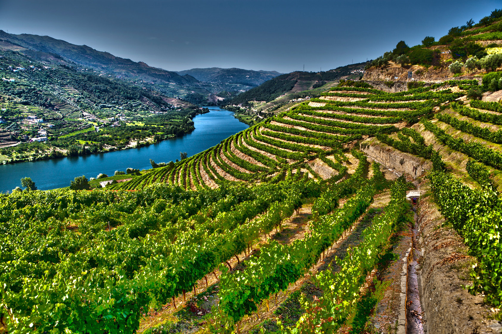 the vineyards of Douro Valley, Portugal.

Portugal Trip; Travel Planner; 3Day Trip Plan; Photography