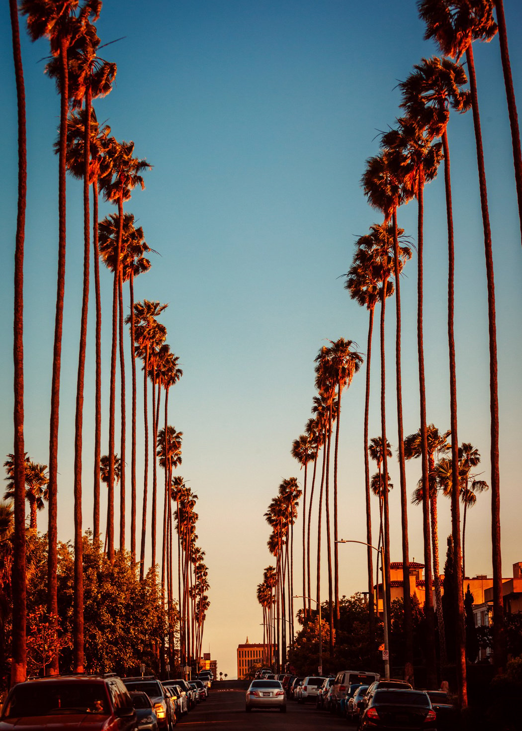 palm trees line the street at sunset in los angeles, california

USA Trip; Travel Planner; 3Day Trip Plan; Photography