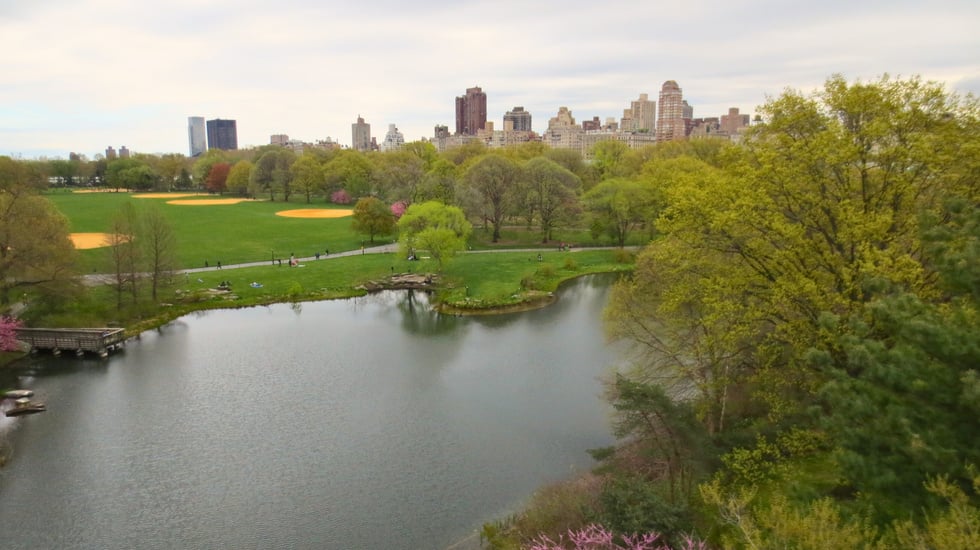 an aerial view of the central park in new york city
USA Trip; Travel Planner; 3Day Trip Plan; Photography